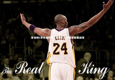 ng体育|常青树C罗缔造历史，连续二十四赛季联赛进球