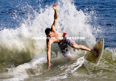 ng体育官网_决胜巅峰再获TGA2025提名，体育电竞界沸腾